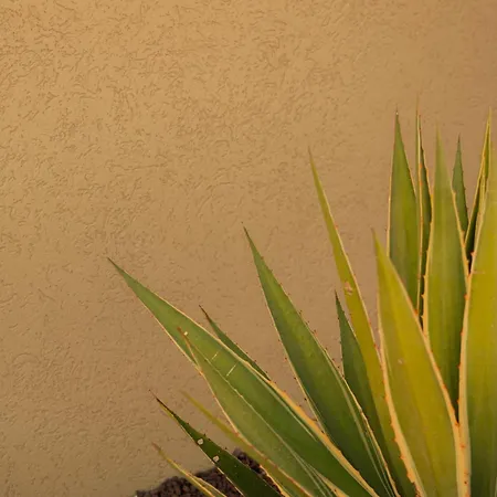 Вилла Silence Фетхие