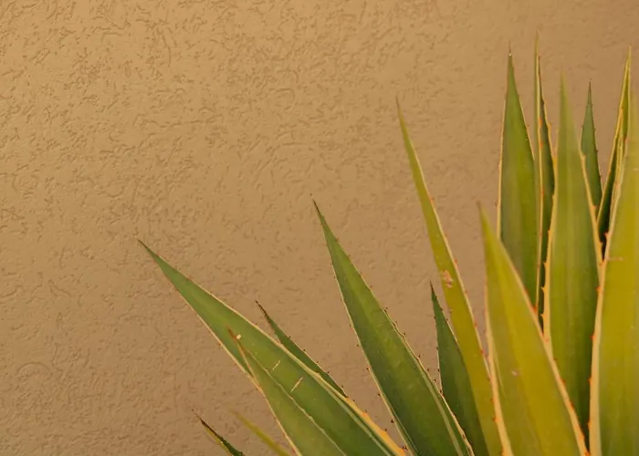 빌라 Silence 페티예